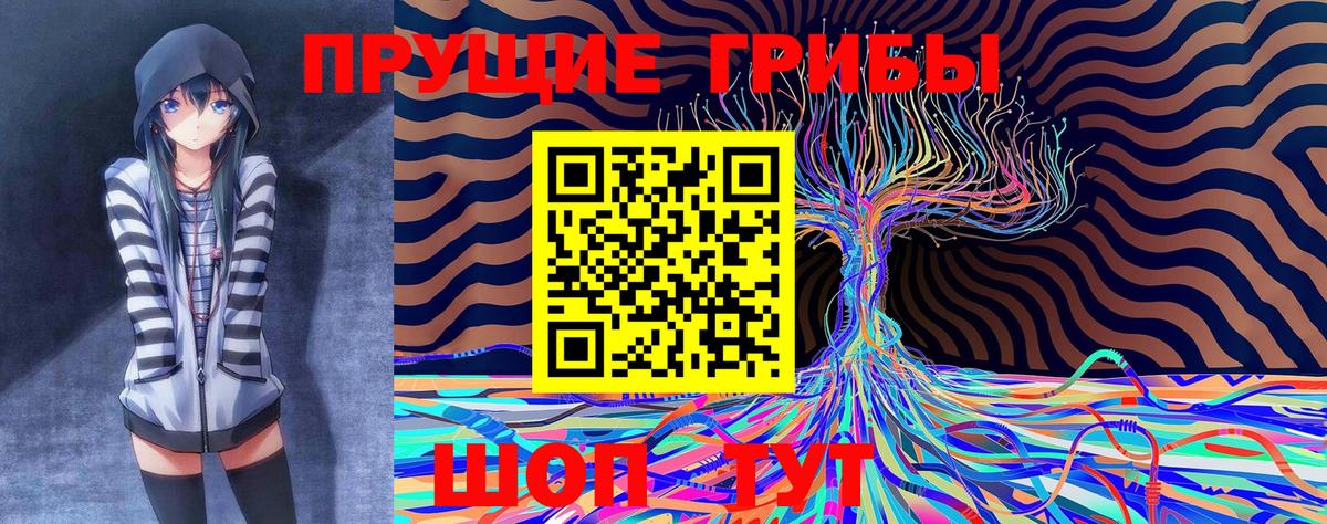 Псилоцибиновые грибы Psilocybine cubensis  Вход с VPN  Ставрополь 